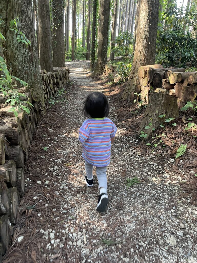     Render Fika Sammuの森を歩く3歳の子ども